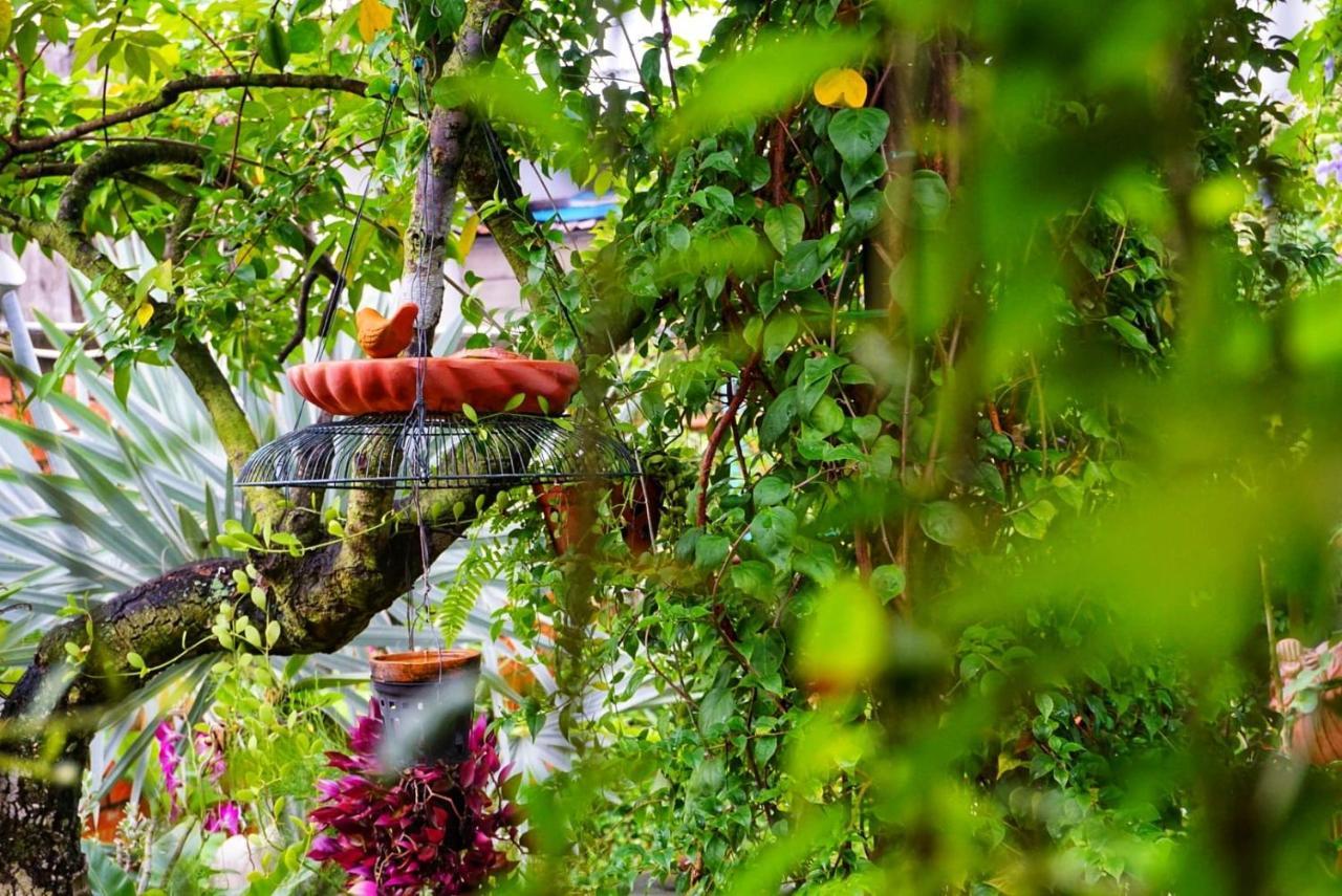 Mekong Pottery Homestay, Green-Friendly & Boat Tour Віньлонґ Екстер'єр фото